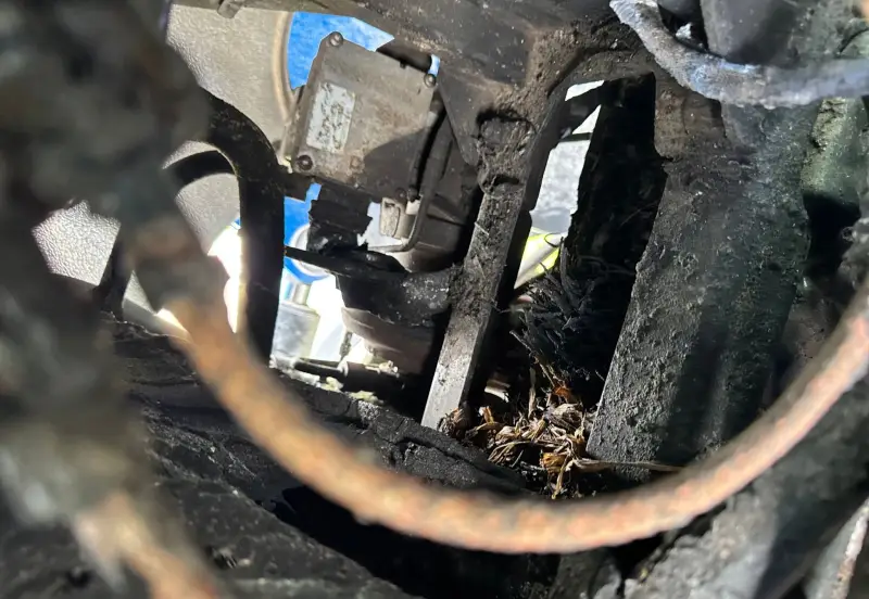 2015 New Holland T6.165 photo 59