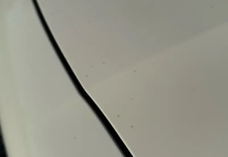 2021 Porsche Cayenne photo 10